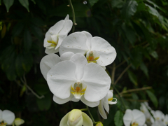 P1010641