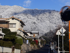 P1080507 寒い朝