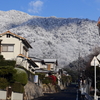 P1080507 寒い朝