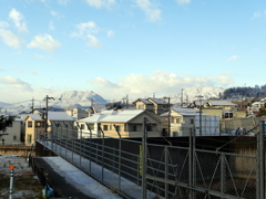 P1080494 寒い朝