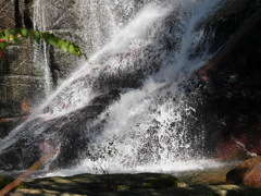 P1030344