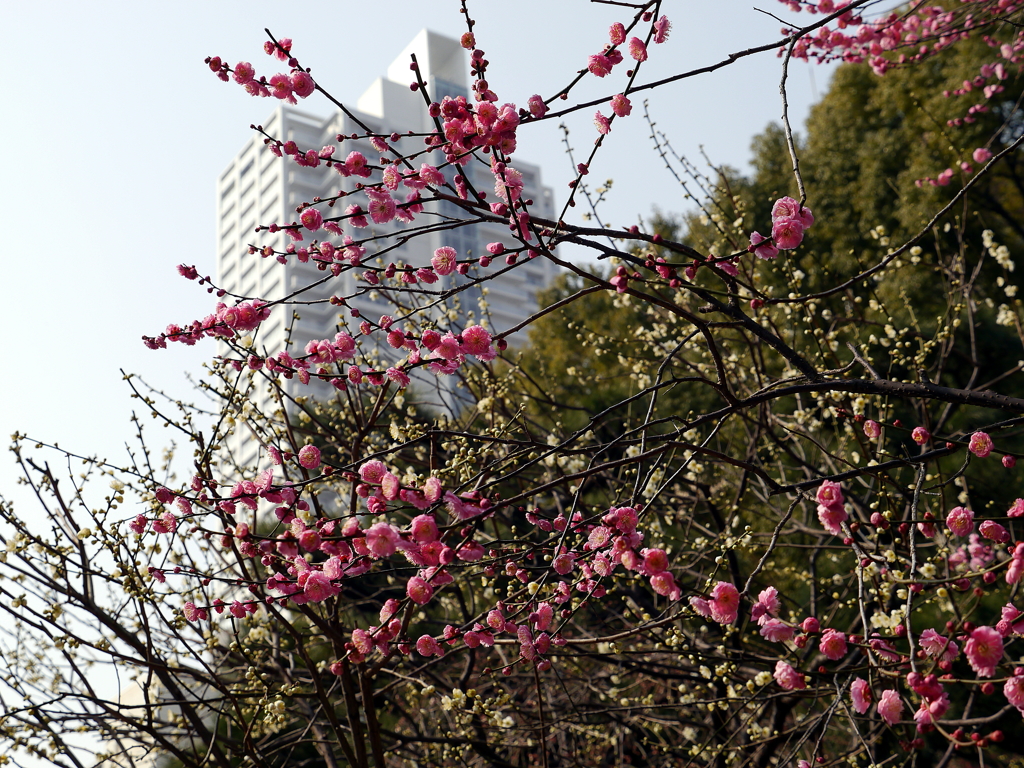 010_P1040667g