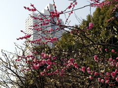 010_P1040667g