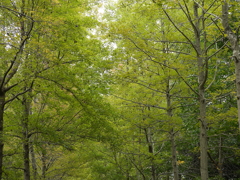 広島広域公園