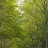 広島広域公園