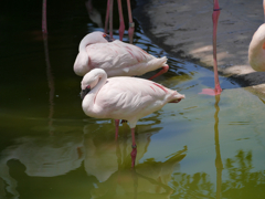 P1020270