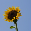 P1030145
