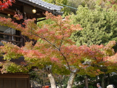 P1000228