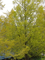 広島広域公園