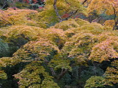 P1000272
