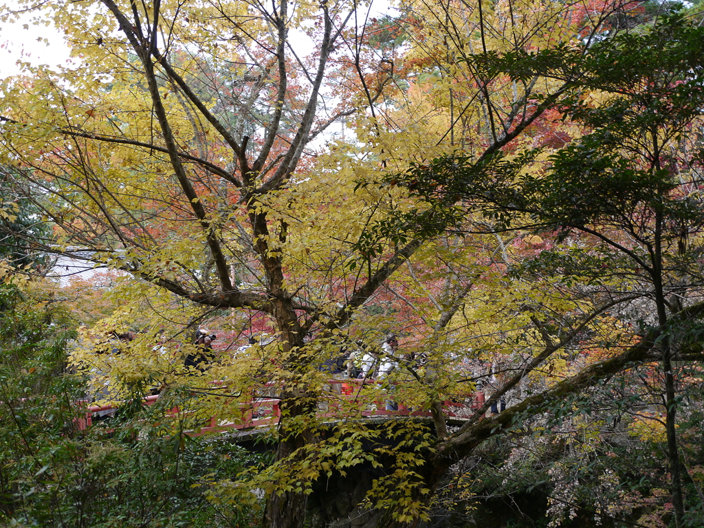 P1000260