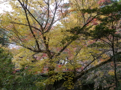 P1000260