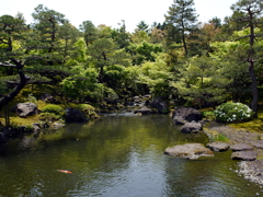 日本庭園