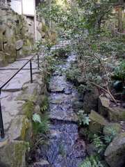 P1080639 三滝寺