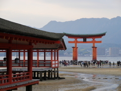 P1000333