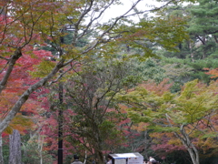 P1000295