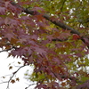 広島広域公園
