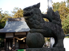 P1020942 初詣 大利河内神社