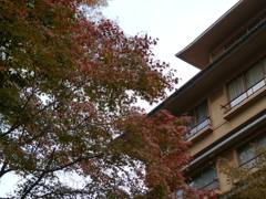 P1000208