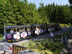 P1050273