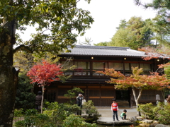 P1000236