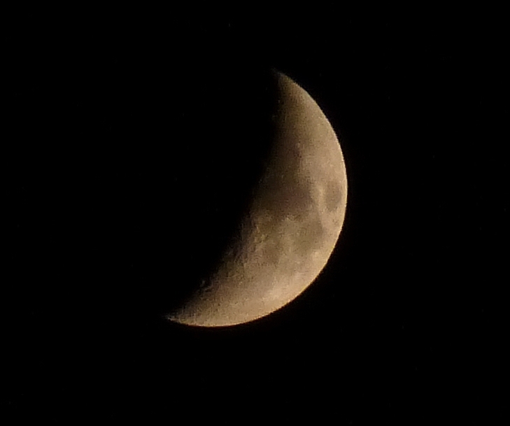 P1000820n