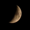 P1000820n