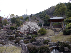 P1040857g