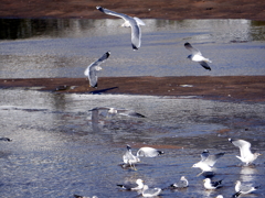 08_P1090558g