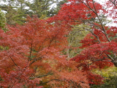 P1000291
