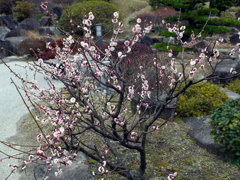 P1040880g