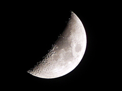 P1080830n