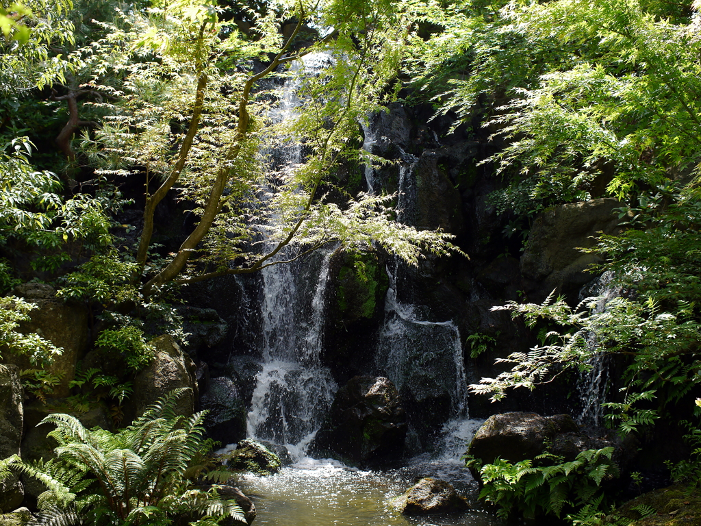 日本庭園