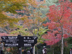 P1000298