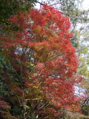 P1000211