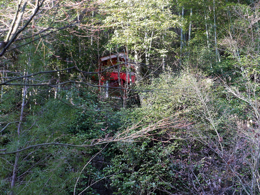 P1080681 三滝寺