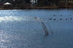 春へのきざし-1