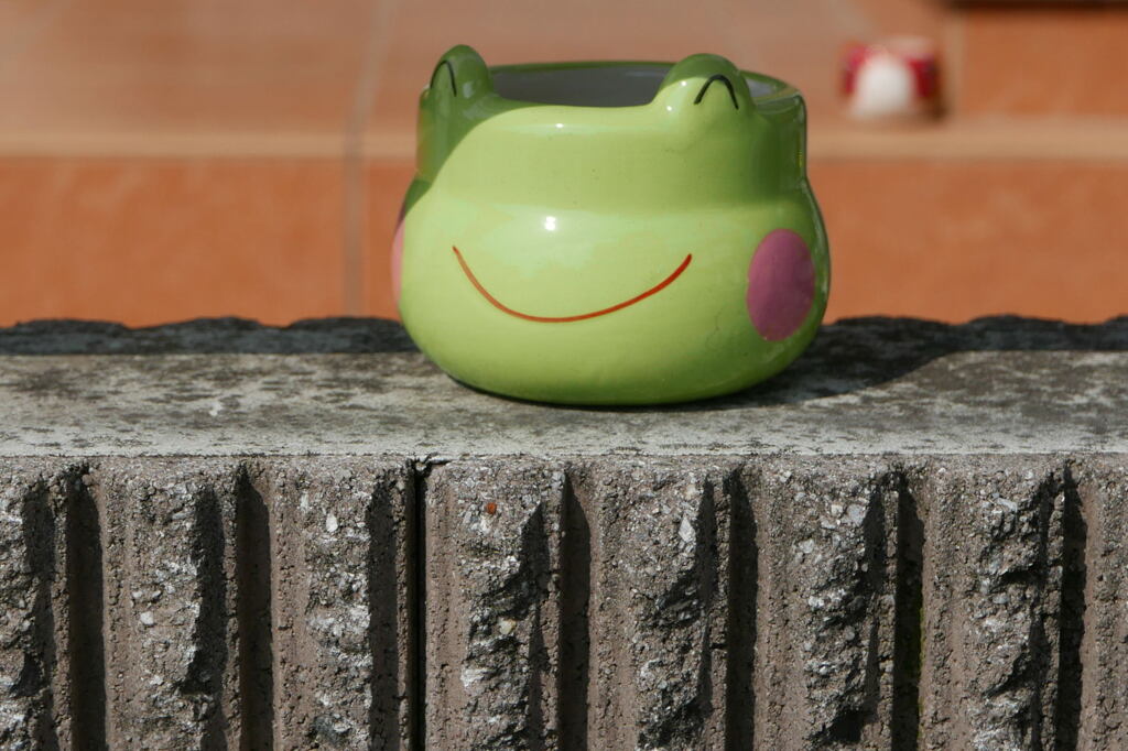 見守っていますよー2