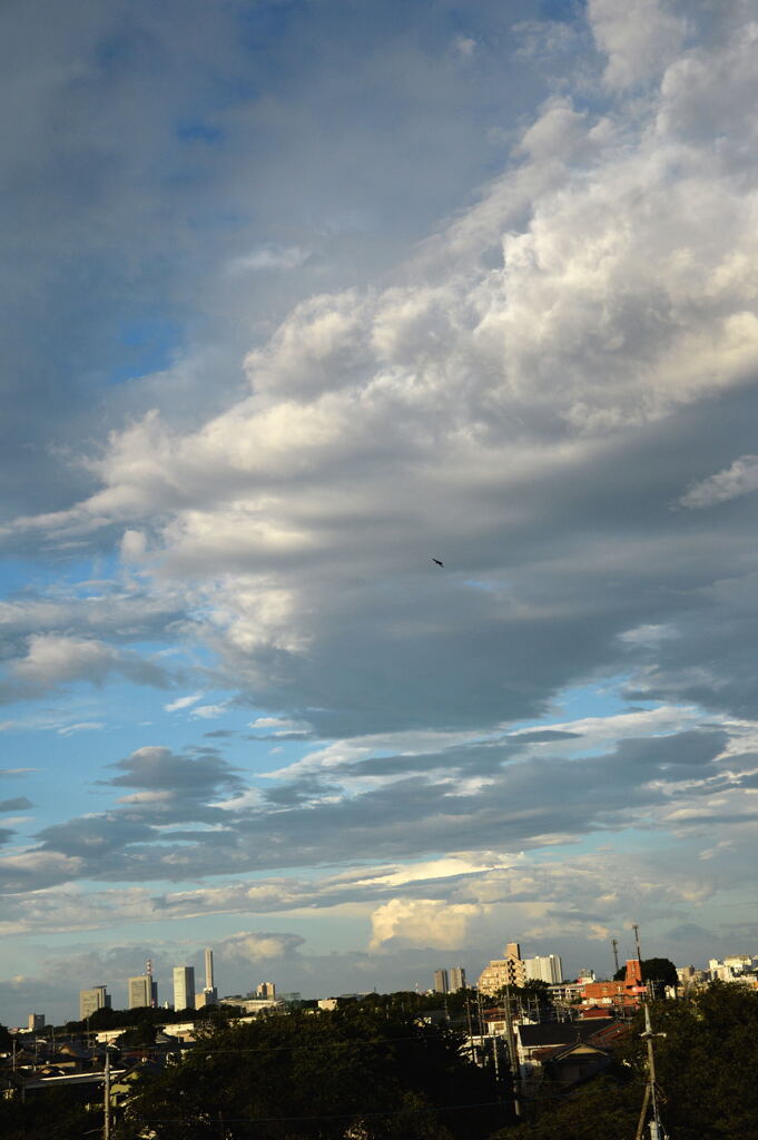  今年は見ぬ この夏雲 ―2