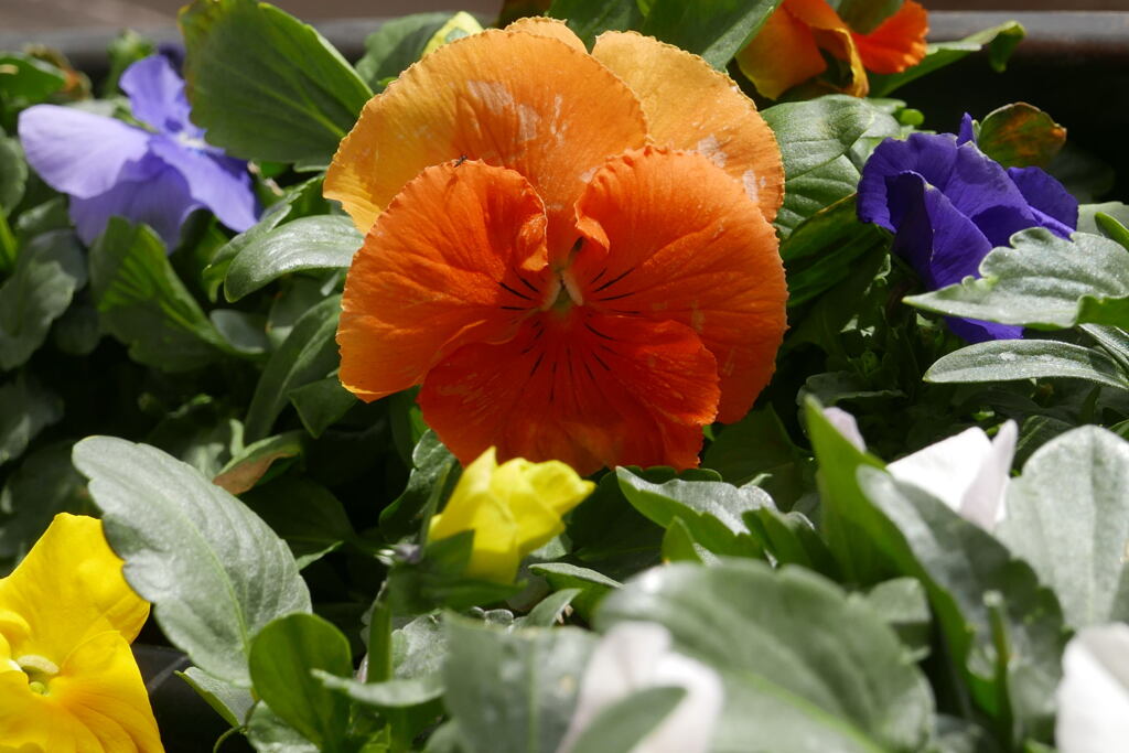  あたたかさが 一番 ―2