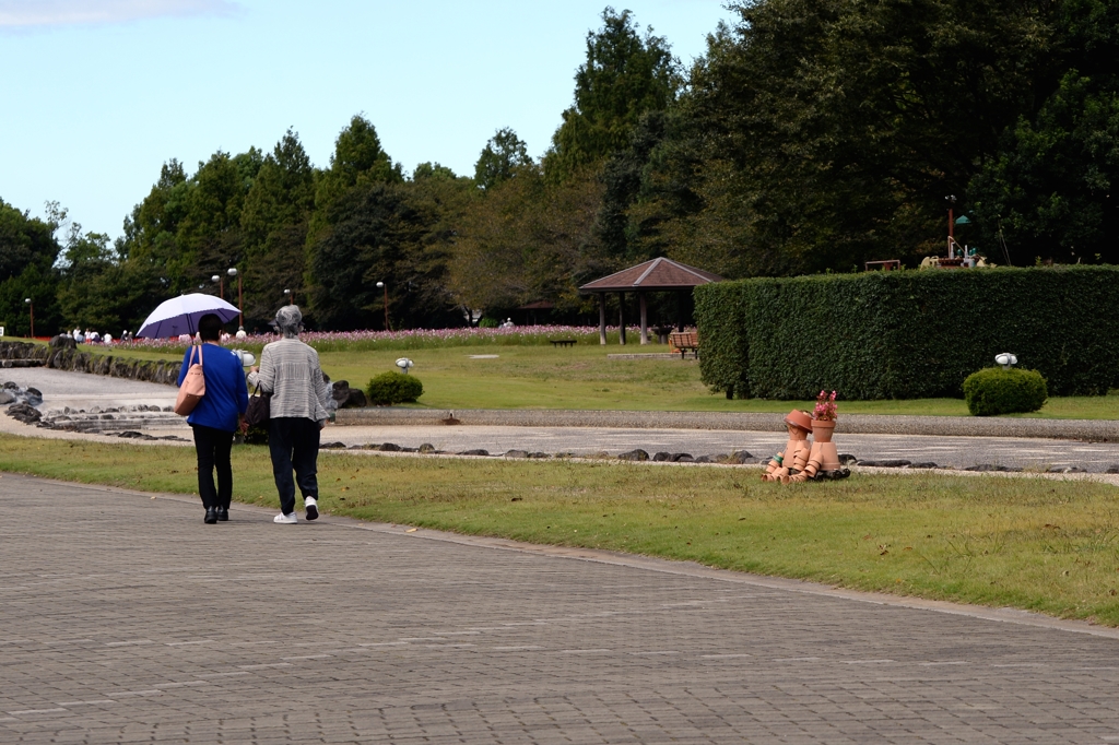 ここに居ますー2