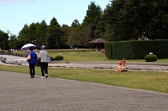 ここに居ますー2