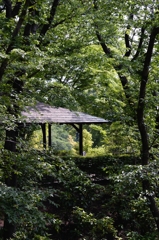 公園は初夏ー３