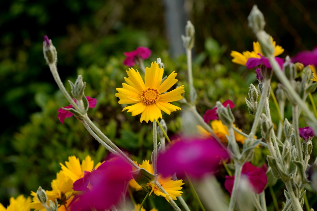 目立ちますか-1