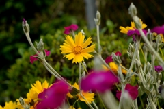 目立ちますか-1