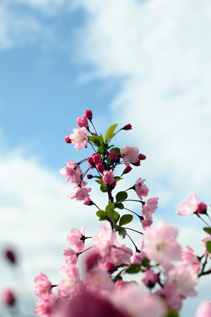青空に―２