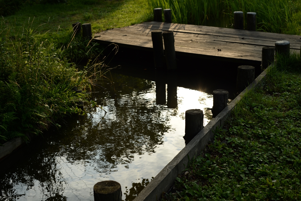 日本画と写真ー2