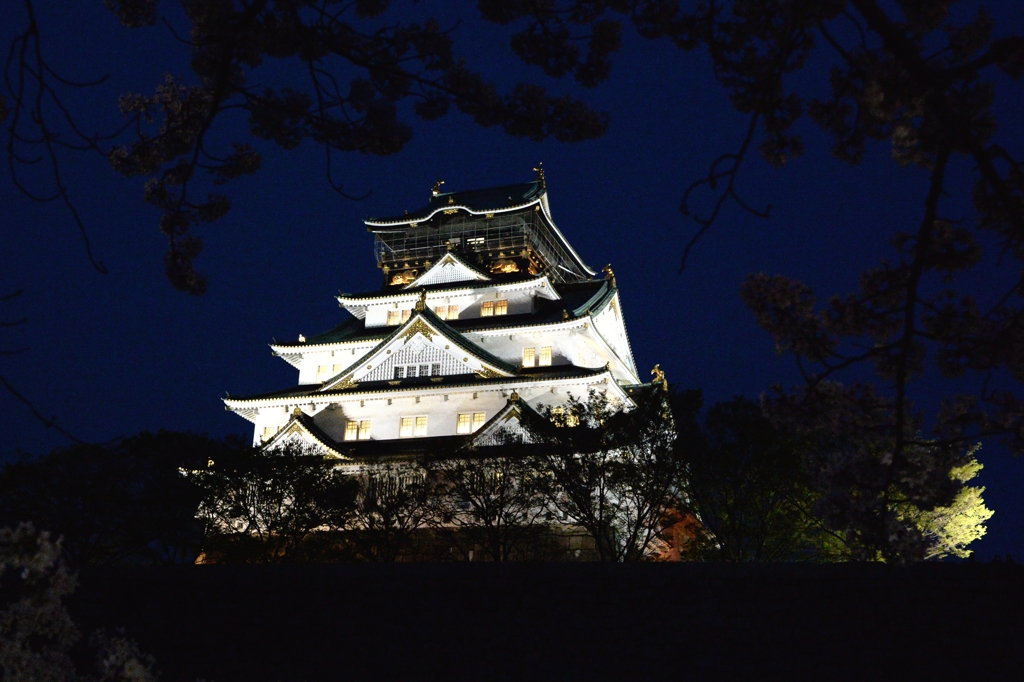 夜桜・大阪城ー４