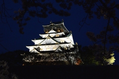 夜桜・大阪城ー４