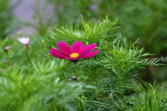 なんとなく秋　　　1